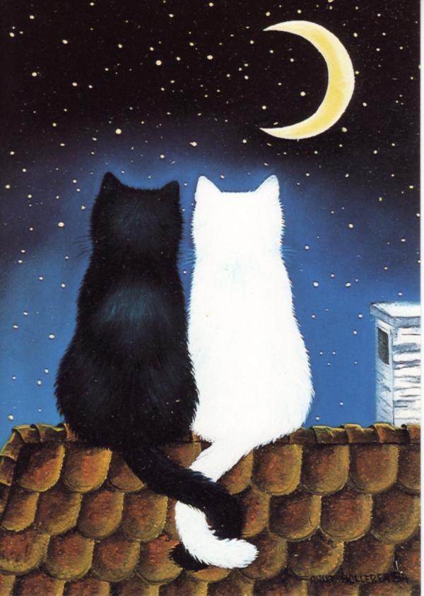 xxxxxx2015-6-8#529409#